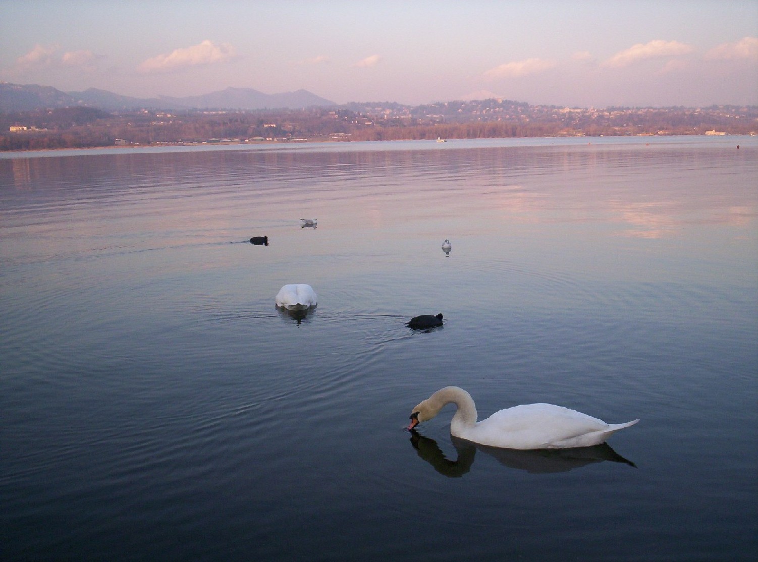 Laghi....della LOMBARDIA